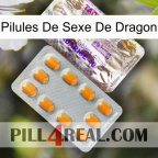 Dragon Sex Pills new12